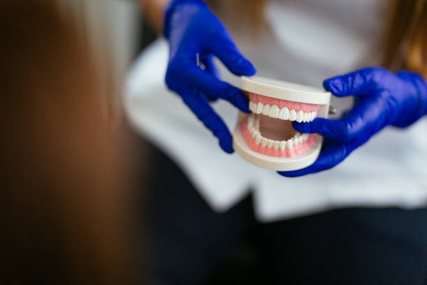 Best Dental Exams and Cleanings  in Rosemount, MN