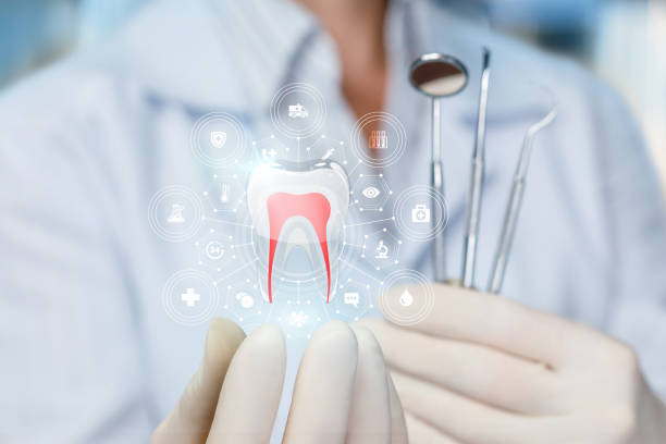 Best Dental X-Rays and Imaging  in Rosemount, MN
