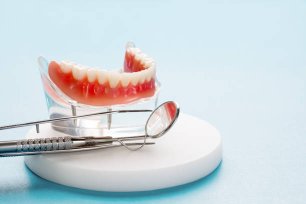 Best Preventive Dentistry  in Rosemount, MN